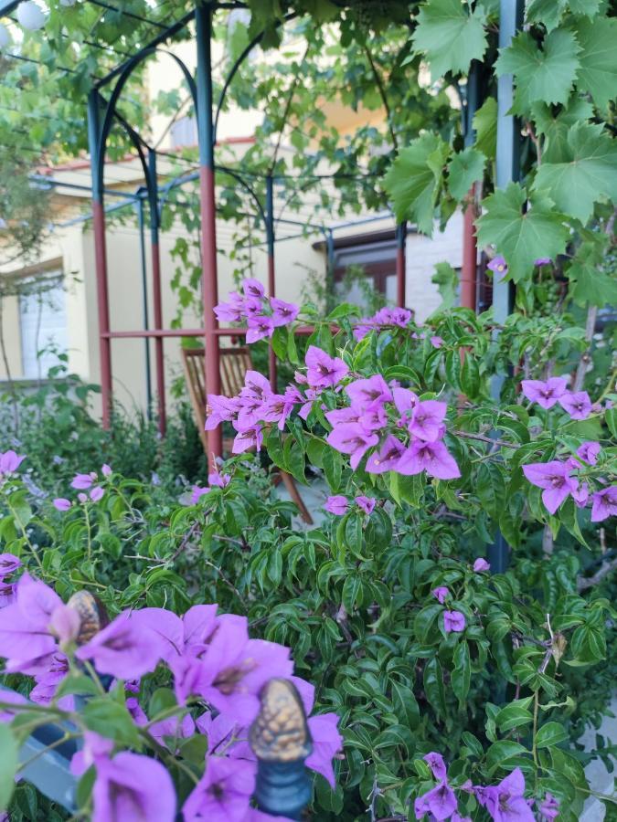 Summer Time Premantura Εξωτερικό φωτογραφία
