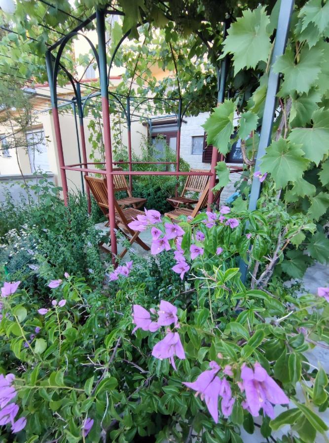 Summer Time Premantura Εξωτερικό φωτογραφία